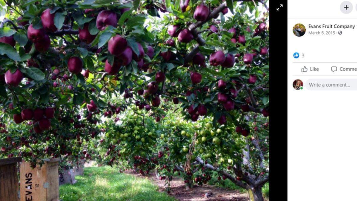 A Washington fruit company was fined more than $150,000 for willfully violating COVID-19 restrictions, officials say.