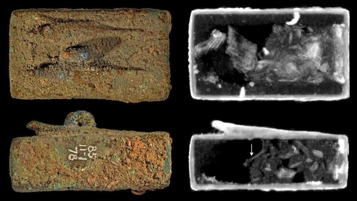 The researchers found intact lizard bones in three of the coffins.