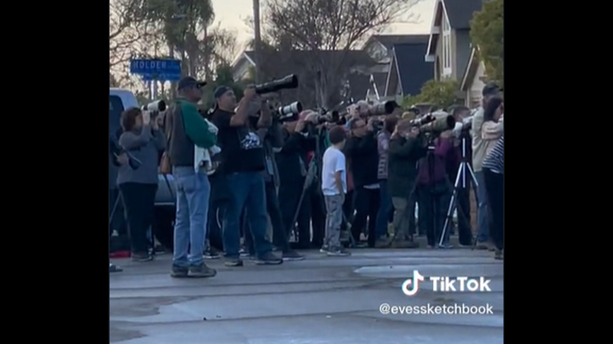 A crowd of over 100 people lined up in a California neighborhood for a glimpse of a rare creature.