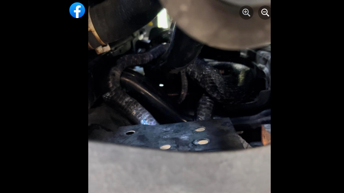 Coiled in the engine compartment was a 6-foot long rat snake.