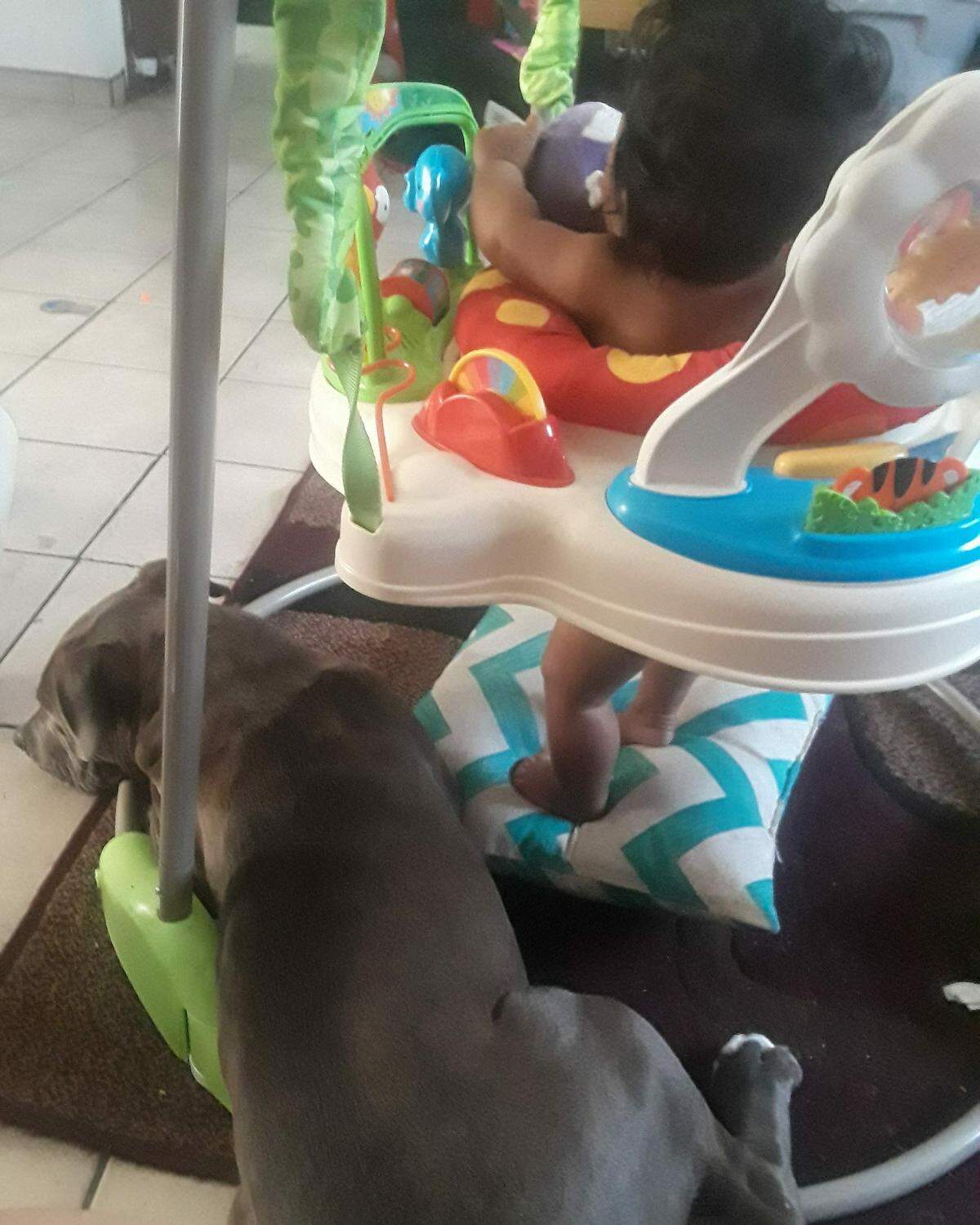 Sasha the "hero pup" sits with Masailah in one of the last photos Nana Chai, Masailah's mother took of the inseparable pair before a fire last week made their fourplex home unlivable.