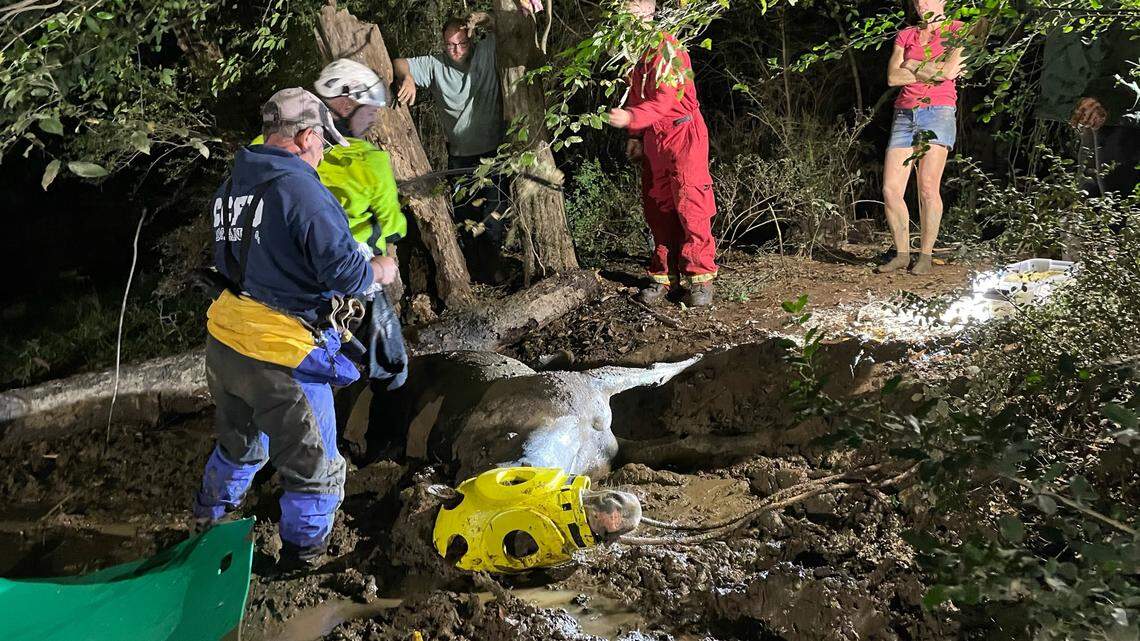The 16-year-old mare was trapped in the mud and was showing signs of mild hypothermia, according to Large Animal Response Group.