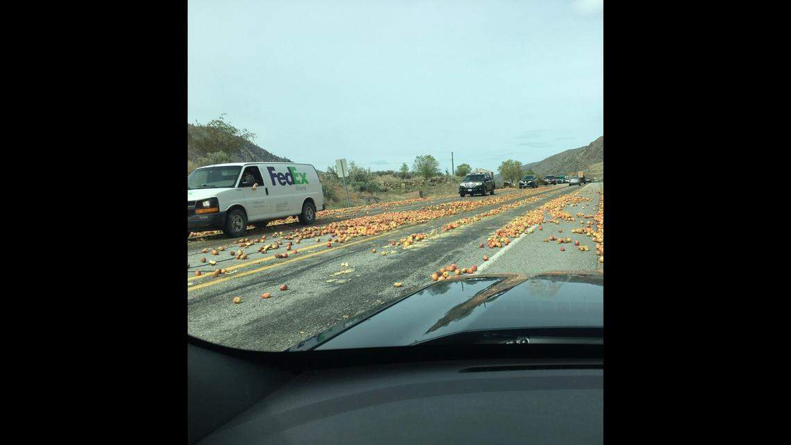A semi driver crashed after reaching for a water bottle and veering off a road near Wenatchee, officials say. The truck spilled 24 crates containing 1,000 apples onto the highway, according to Washington State Patrol.