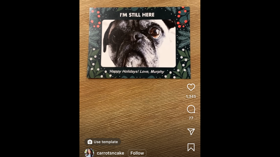 A Massachusetts family made an updated holiday card after their original one left out their senior pug, Murphy.