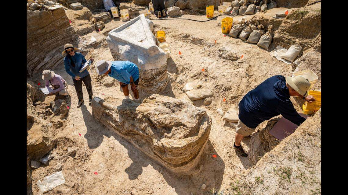 A fossil site about 25 miles south of Gainesville in Florida has revealed a snapshot of life in the area 5.5 million years ago.