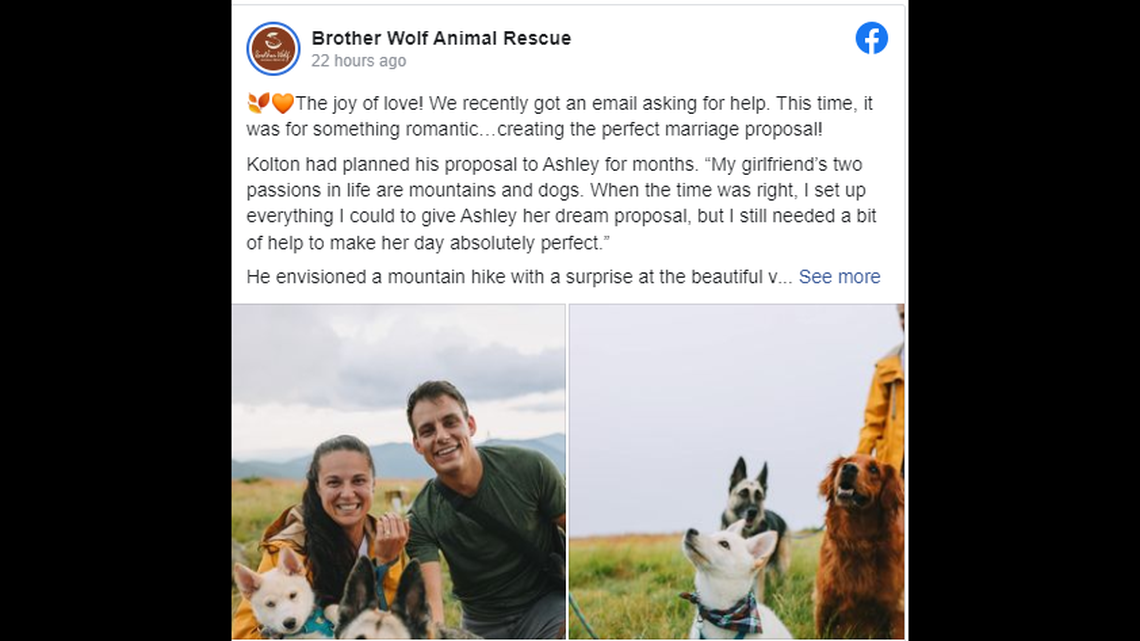 A man’s proposal to his girlfriend got a little help from a rescue puppy to make the moment even more special, a North Carolina animal rescue said on Facebook.