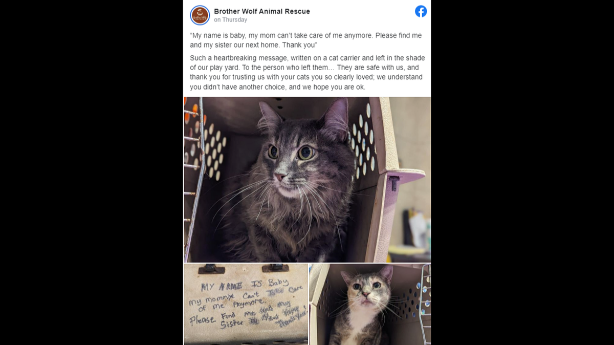 Two cats were left abandoned at an Asheville animal shelter with a note begging the organization to find the pair a new home.