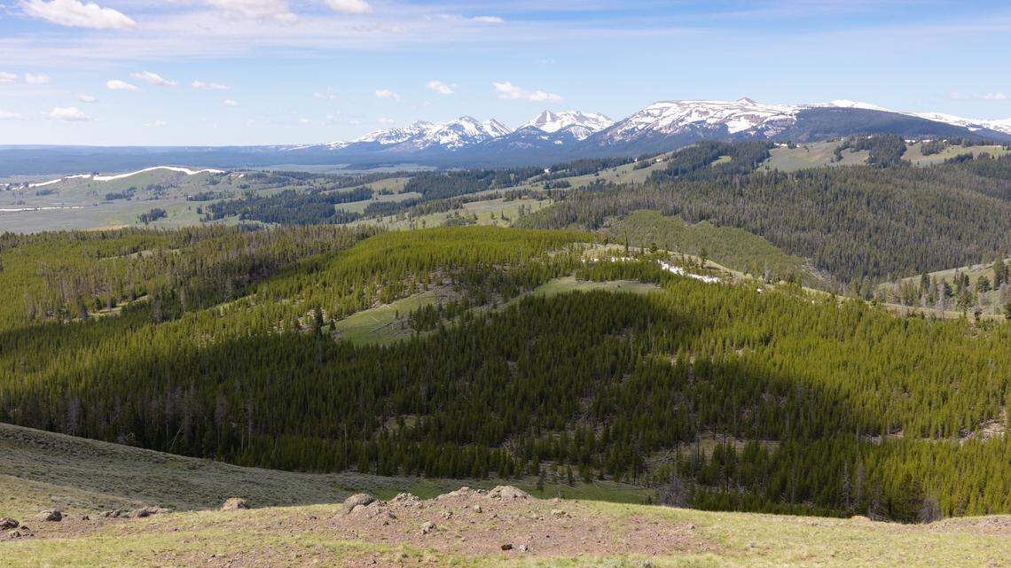 A treasure hunter looking for Forrest Fenn’s bounty got lost in Yellowstone. He was found guilty of disorderly conduct and ordered to pay $2,880.