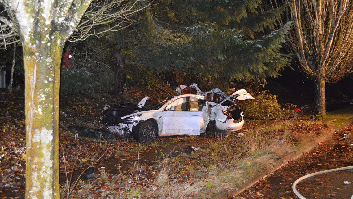 A driver lost control of a Tesla going 100 mph, Oregon cops say. The damage caused batteries to fly into people’s homes, one catching bedding on fire.