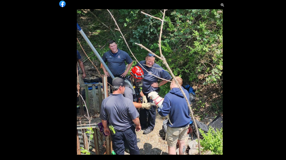Oskar was safely lifted out of the drain by a firefighter and thanked him with a handshake.