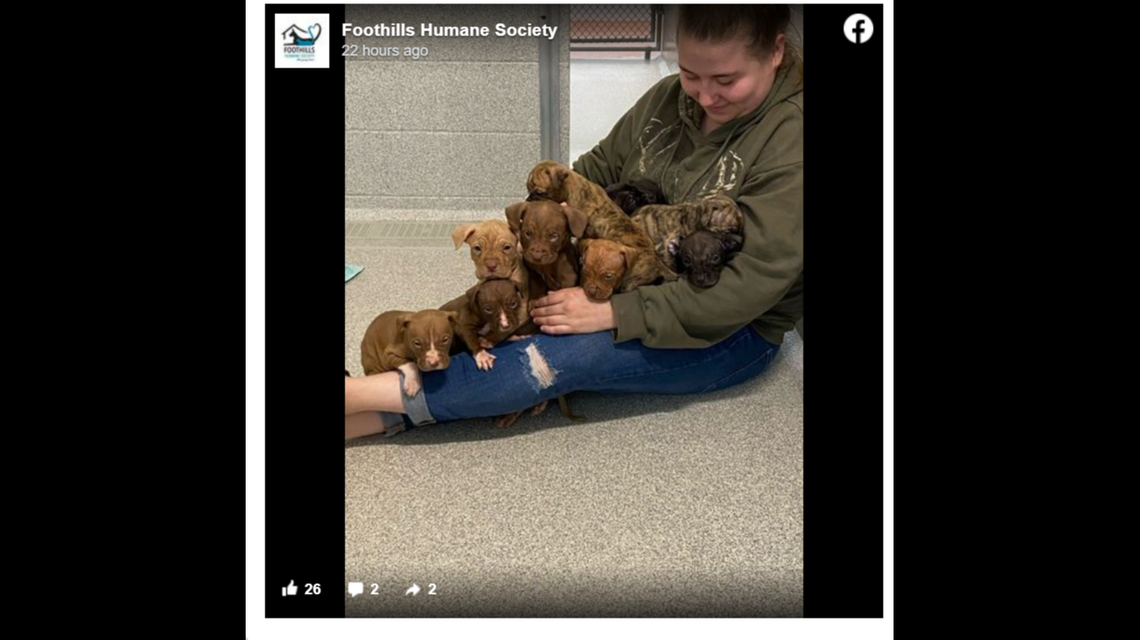 Screengrab from Foothills Humane Society Facebook post.