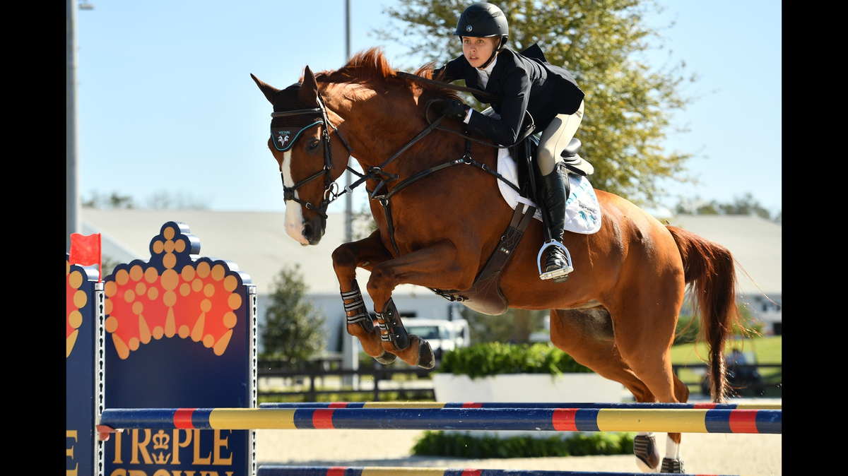 Hannah Serfass, 15, a “talented, up-and-coming” equestrian, died when her horse fell on her during a competition, Florida authorities said.