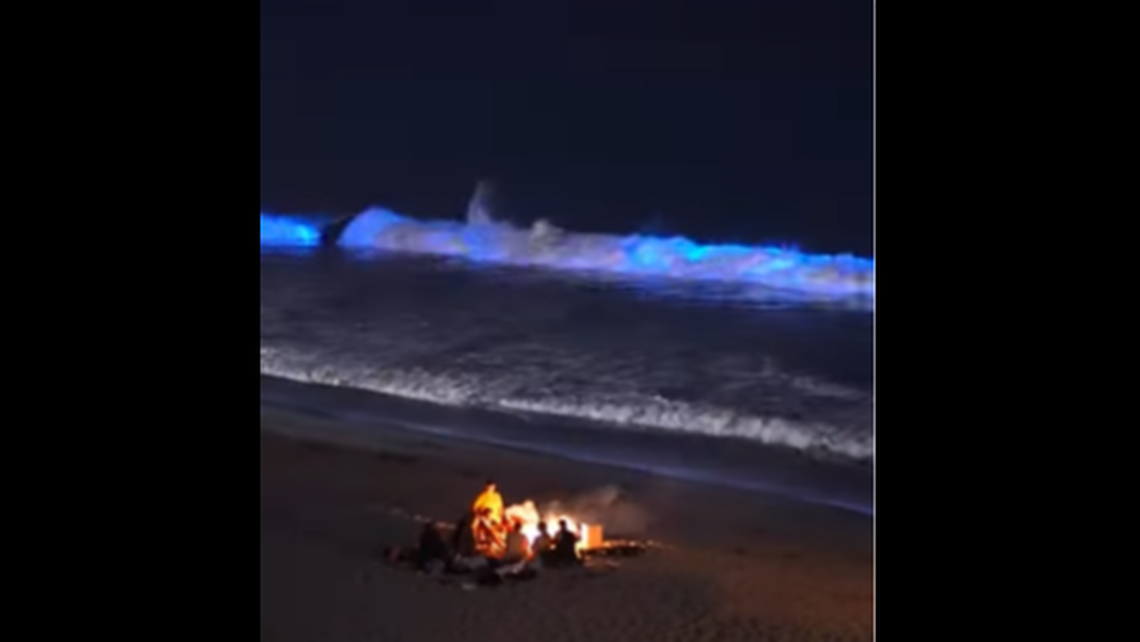 Waves off the California coast are glowing bright neon blue in bioluminescence.