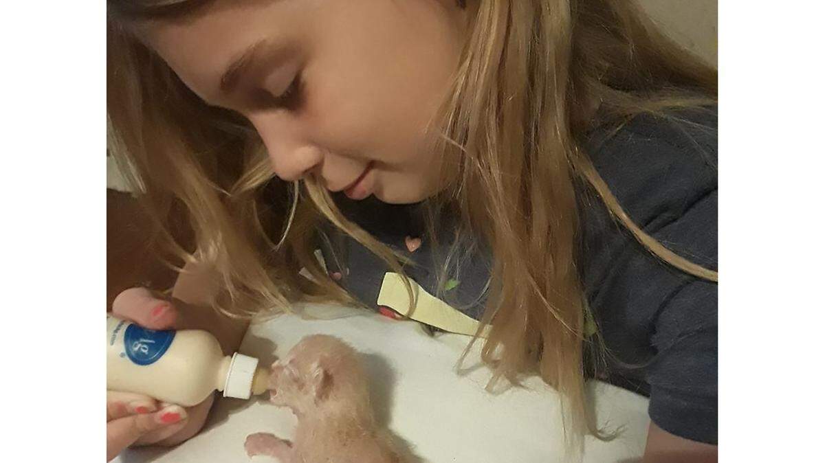 Greenlee Maire Buckley, 10, was apprently electrocuted by her family's dryer while trying to rescue her kittens, which had gotten trapped behind the appliance.