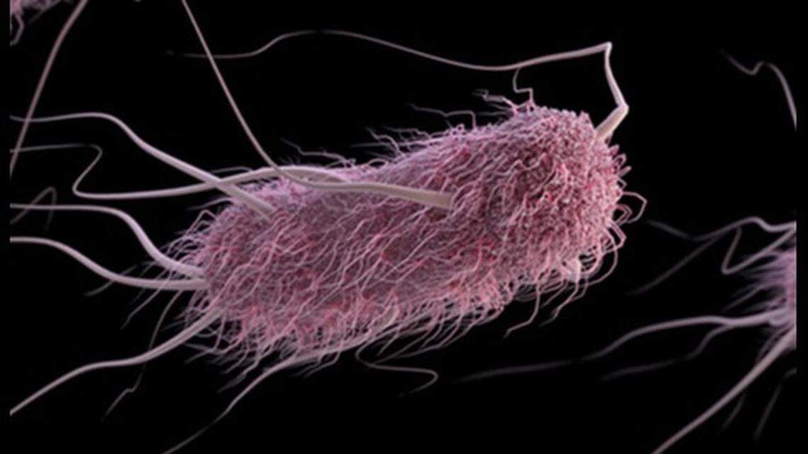 The CDC has announced a national E. Coli outbreak has infected people in multiple states. Two Washington residents have fallen ill.