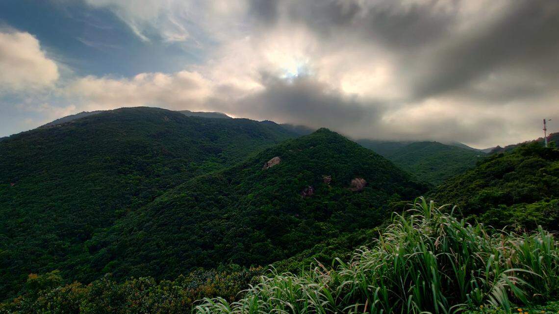 Researchers discovered a new species of toad living on a mountain in eastern China, according to a new study.