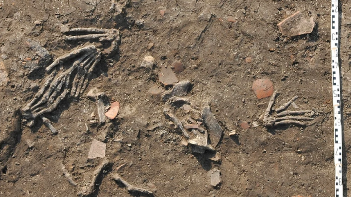 Twelve severed hands were found buried in pits near an ancient Egyptian palace, archaeologists said.
