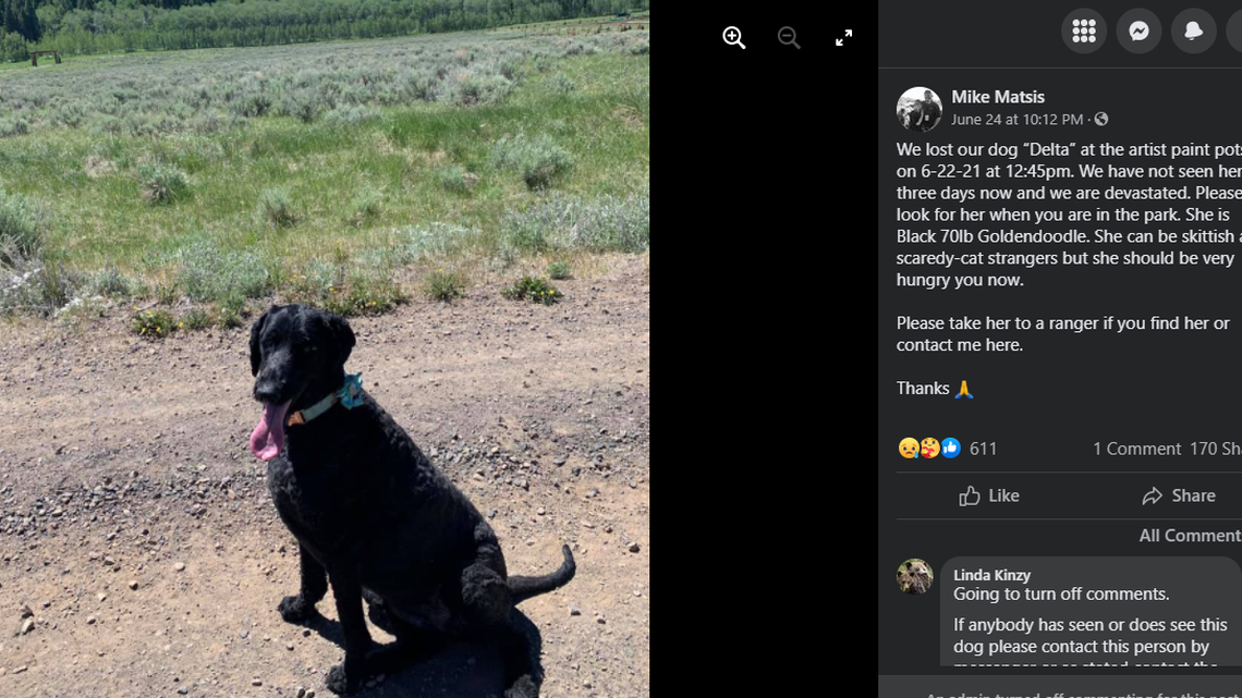 A 70-pound black goldendoodle named Delta was reported lost in Yellowstone National Park before being reunited with her family.