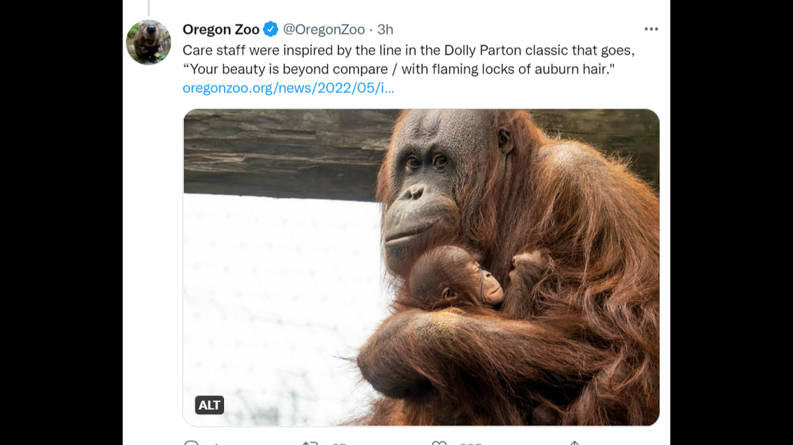A baby orangutan at the Oregon Zoo was named after a Dolly Parton song.