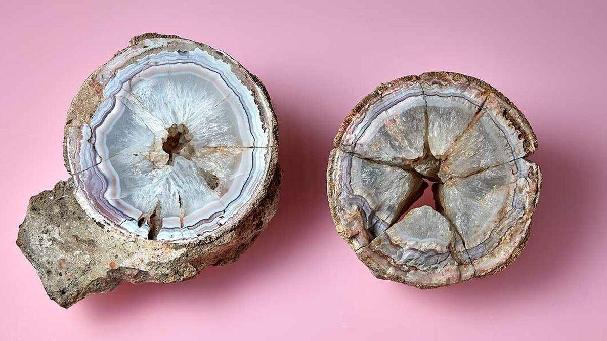 The agate interior was lined by a thin white layer, like the eggshell of Earth’s largest animal.