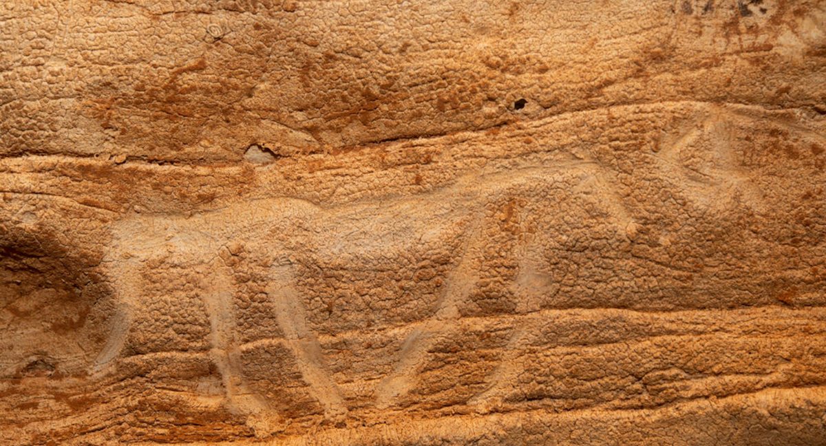 A close-up photo of one of the engravings, which appears to depict a four-legged animal.