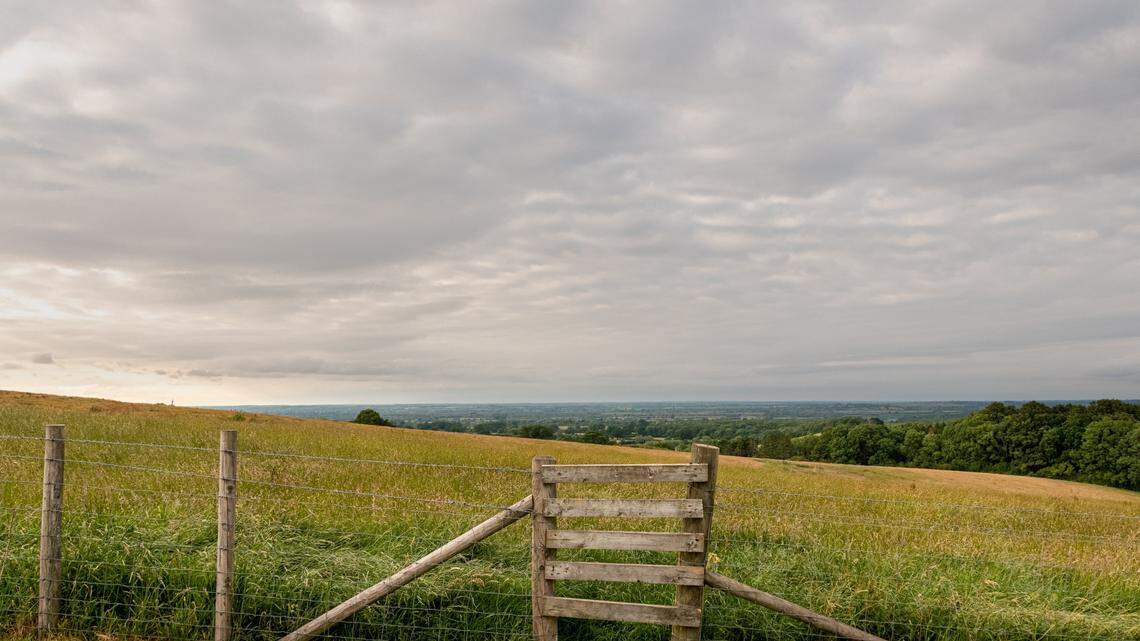 One sheep overcame the barriers of love to become a new mother at a United Kingdom farm.