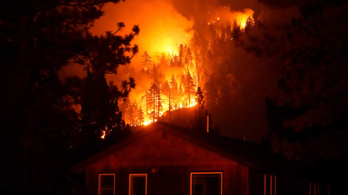 The Caldor Fire consumes trees near South Lake Tahoe, California, on Wednesday, Sept. 1, 2021. (Jae C. Hong/AP)