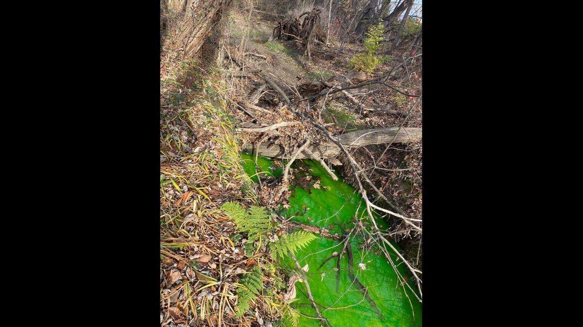 Green creek