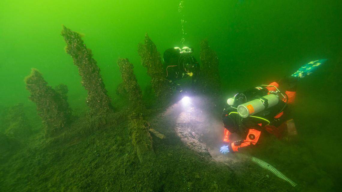 Forty species of plants, including exotic spices, were recovered from a 15th century shipwreck off the coast of Sweden, according to a new study.