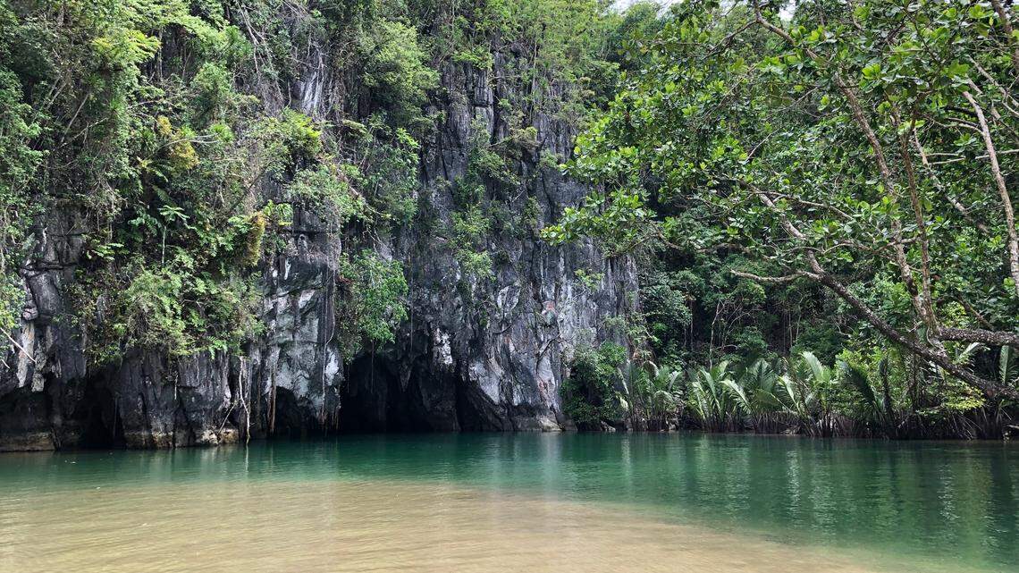 Deep in the caves of the Philippines, a new species was discovered lurking under the surface of the water.