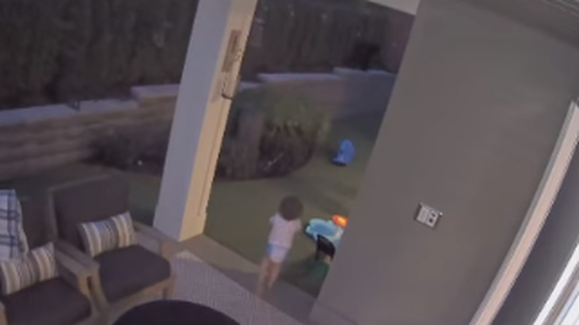 A 2-year-old started to run after a bear cub in a Redmond, Washington, backyard.