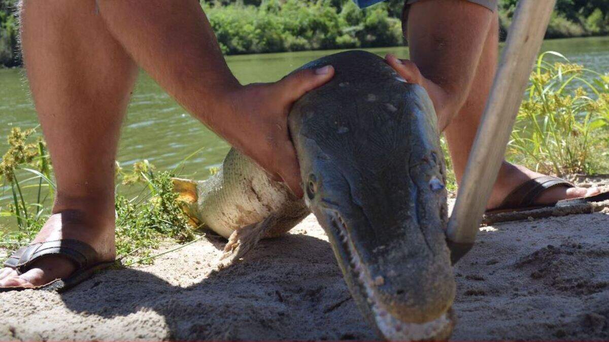 Wanna kiss?