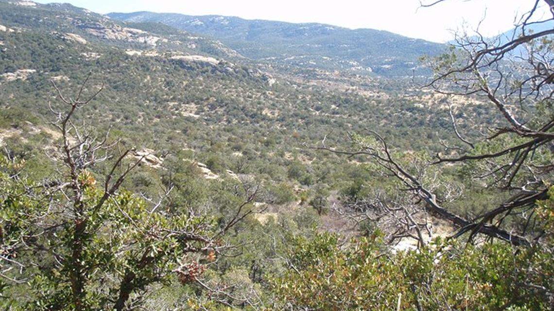 Saguaro National Park officials found remains of a 19-year-old from Washington at a “wilderness campsite” in the park, rangers said.