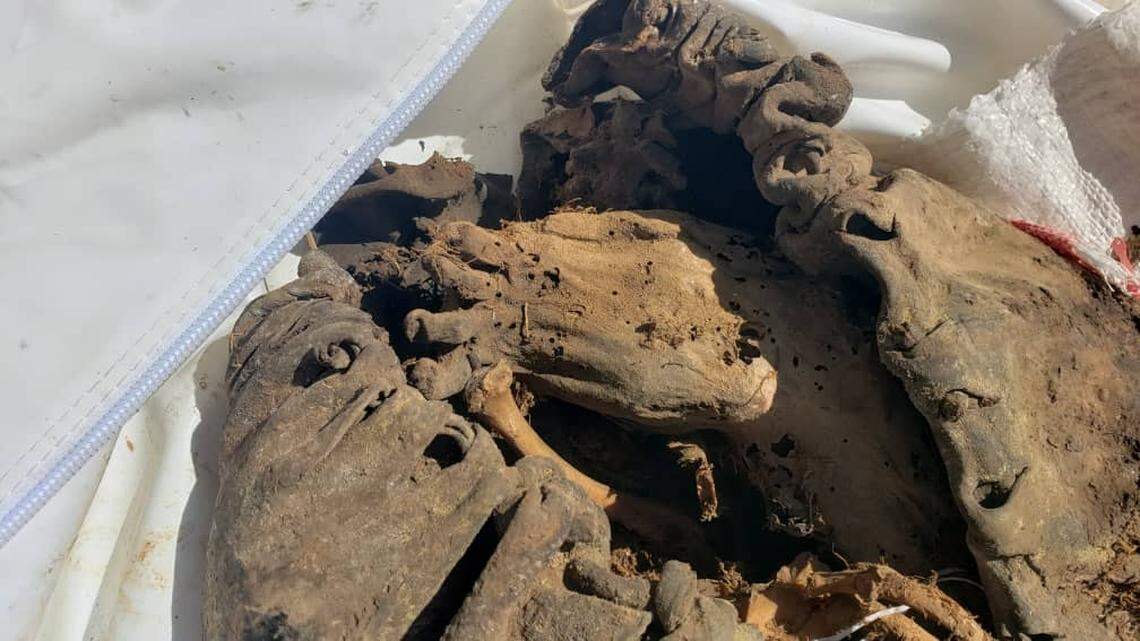 The mummy appears to have been cut open by tomb robbers, officials said.