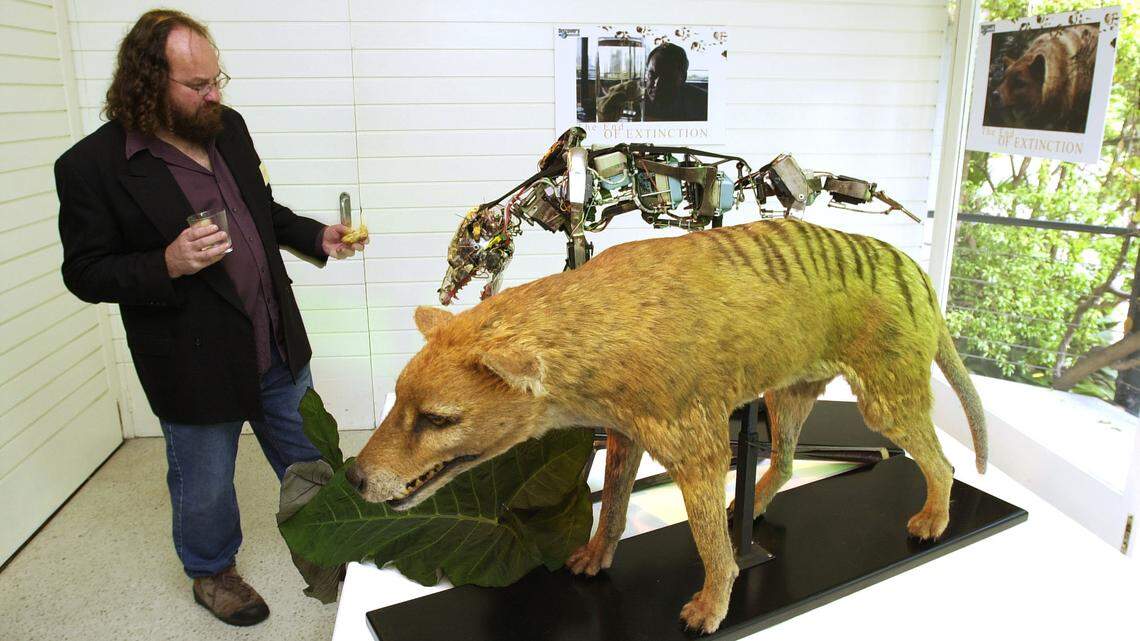 Bob Paddle, the author of “The Last Tasmanian Tiger” is seen in this Tuesday, May 28, 2002 photo in Sydney, Australia. The remains of the last tasmanian tiger were recently found, according to the Tasmanian Museum and Art Gallery in Hobart, Tasmania.