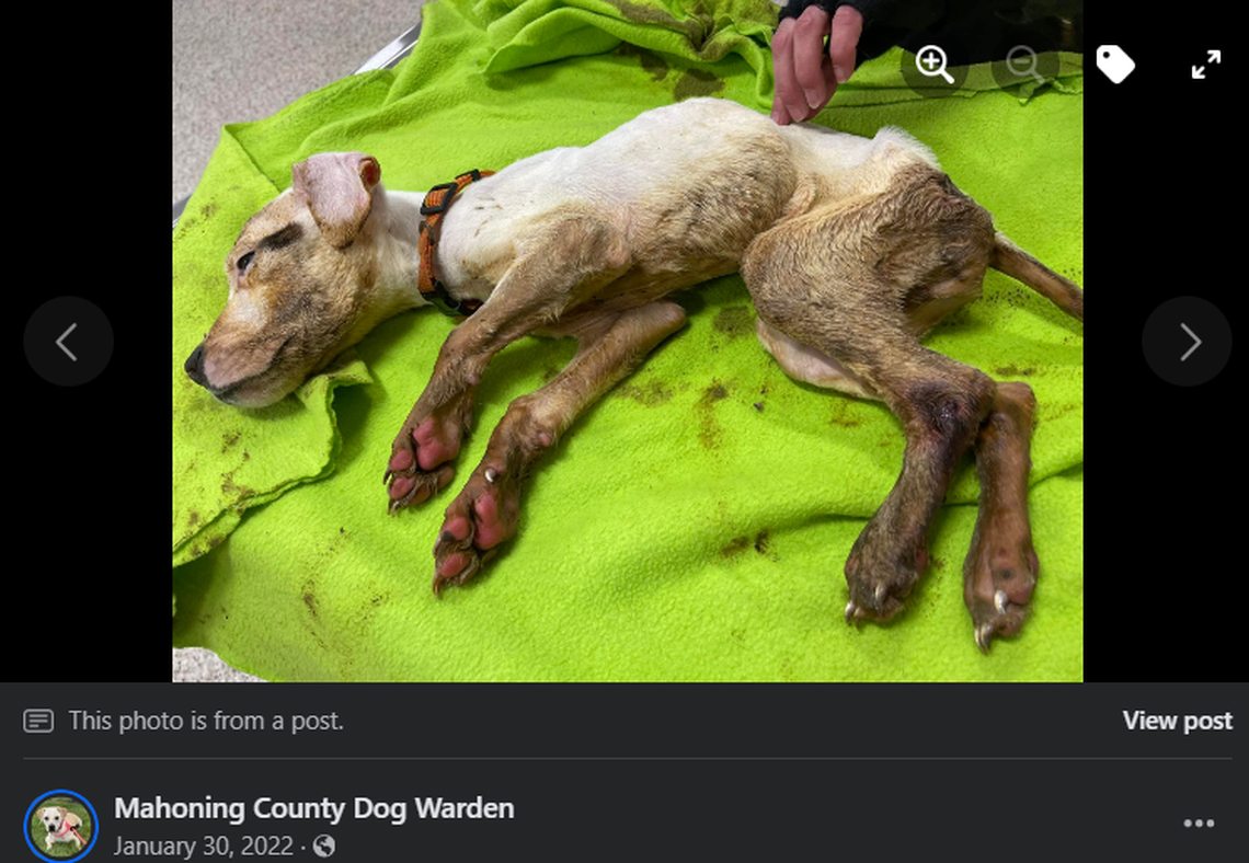 Xavier after he was rescued.