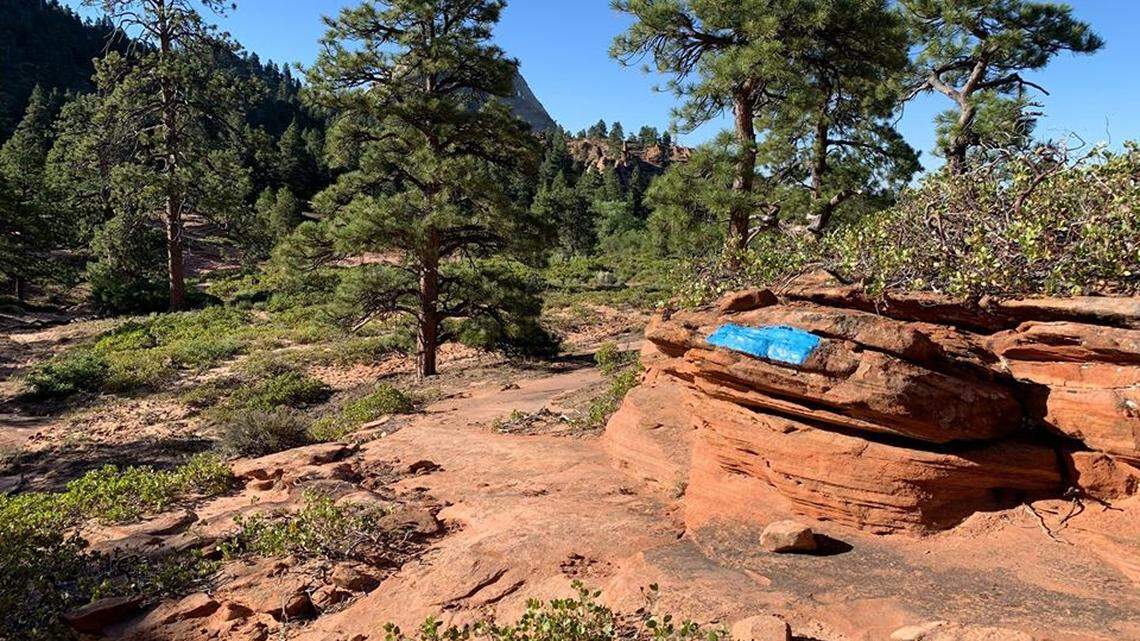 About six bright blue squares were painted on the sandstone in Zion National Park and is believed to be part of a masonry or art project, officials said.