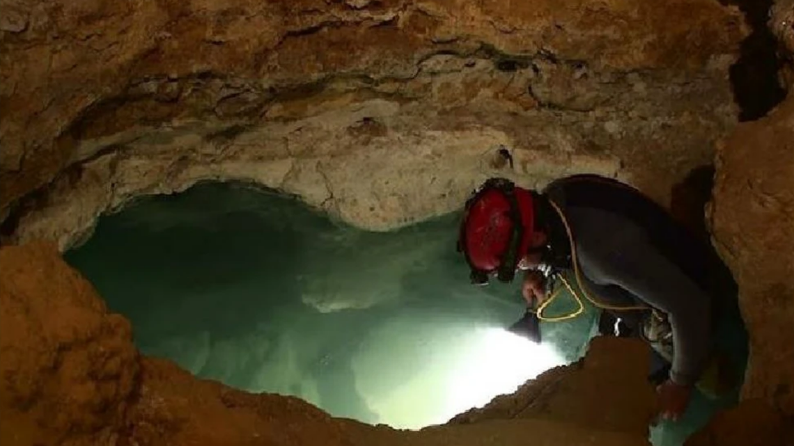 A “peculiar” new species has been discovered dwelling in a toxic cave in Romania, a new study says.