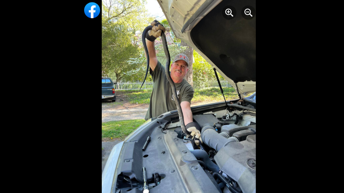 Virginia wildlife officials came to safely remove the snake from the woman’s car.