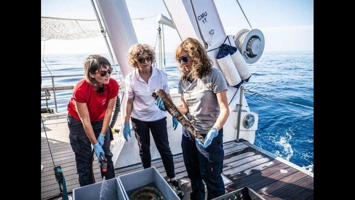 Thousands of pieces of glassware were recovered from the shipwreck, according to archaeologists.