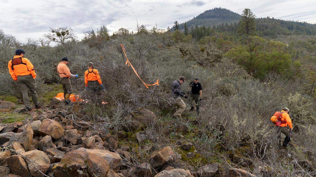 Detectives, rescuers and human remains detection dogs recovered the body from near a hiking trail in Oregon, police said.