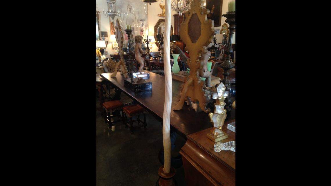 Los Angeles antiques dealer Anthony Buccola illegally sold two narwhal ivory tusks to an undercover agent for $60,000, and was sentenced to 36 months probation and a $20,507 fine, the city attorney said.