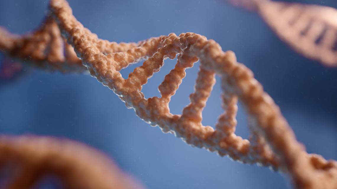 Chromosomes are made of DNA and are inside every cell of the body.
