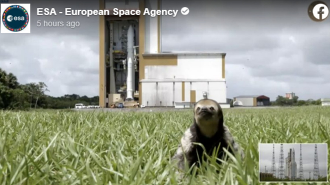 “How did he get there? I have questions.” Users reacted to a sloth that interrupted the livestream of the European Space Agency’s Juice liftoff to Jupiter.