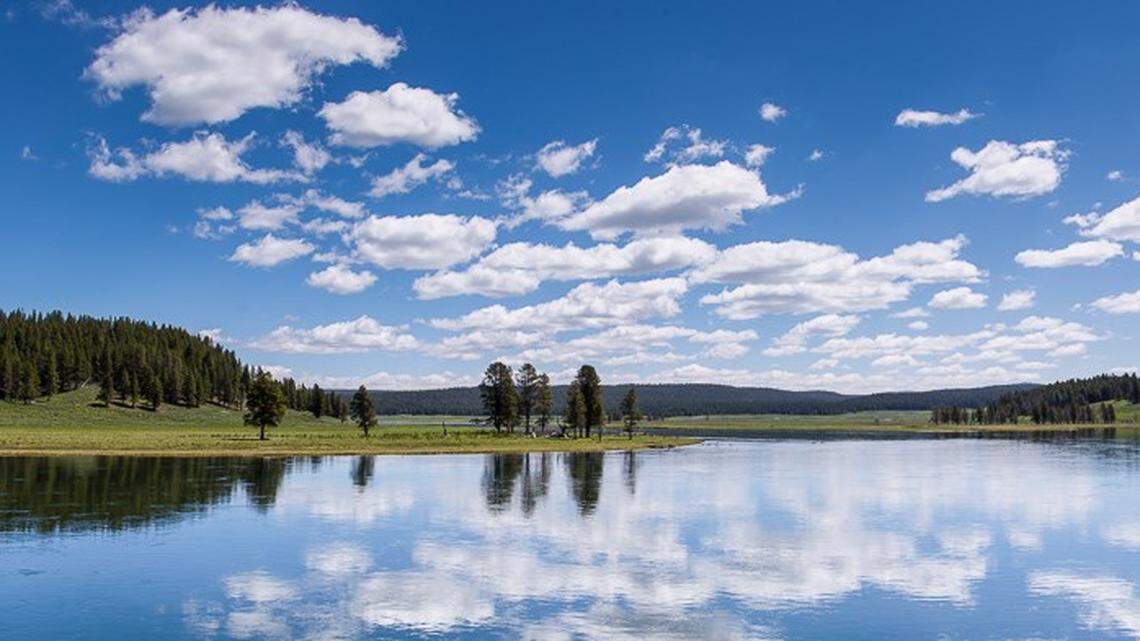 A view of the Yellowstone River in Hayden Valley. The Yellowstone River is the longest undammed river in the continental United States.
