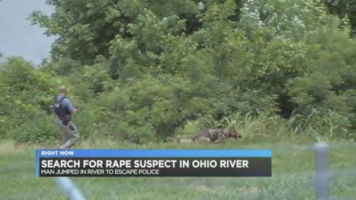 A suspected Cincinnati rapist fled police into the Ohio River on the Kentucky side, tried to drown a police dog and then went under himself, police said.