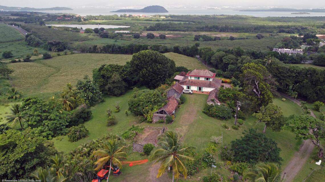 The historical property sits by the ocean and included a mansion house, living quarters for enslaved people and an animal mill.