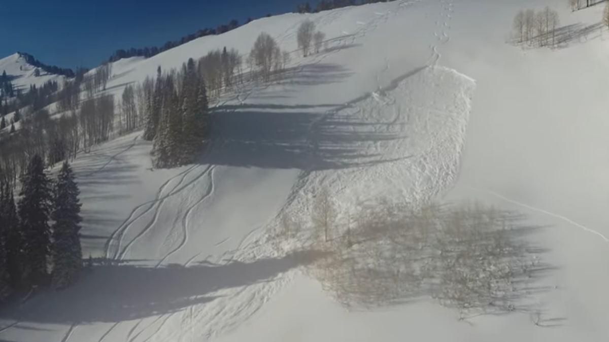 A skier was caught in an avalanche and was pushed into trees before getting buried in snow and debris, the Utah Avalanche Center said.