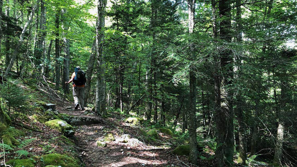 Every year, thousands of hikers attempt to “thru-hike” the Appalachian Trail - traveling through 14 states, from Georgia to Maine, to cover the 2,190 miles of the trail.