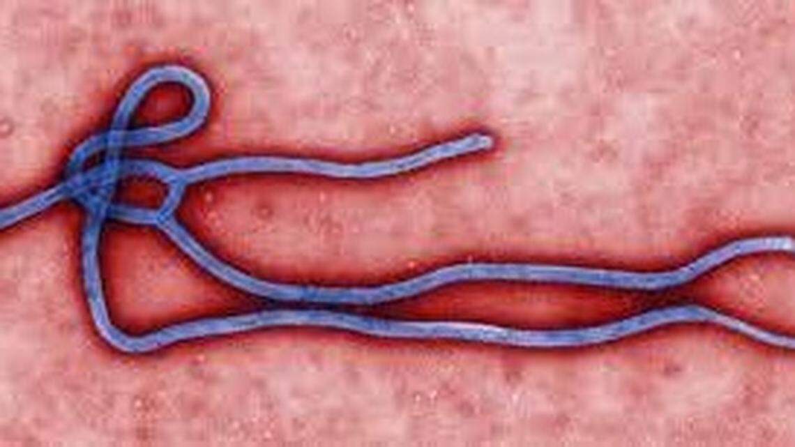 Health officials in Washington are monitoring 23 people for Ebola after they traveled to West African countries experiencing outbreaks.